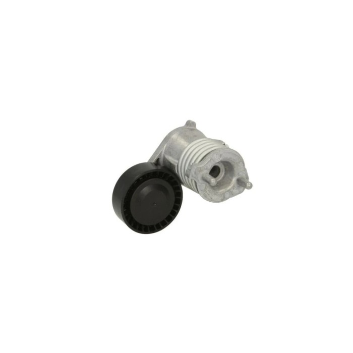 Intinzator curea VOLVO S40 II MS DAYCO APV3019