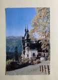 Carte poștală Sinaia-Muzeul Peles RPR, Necirculata, Fotografie