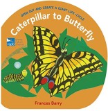 Caterpillar to Butterfly - Open Out and Create a Giant Life-Cycle | Frances Barry, 2019, Walker Books
