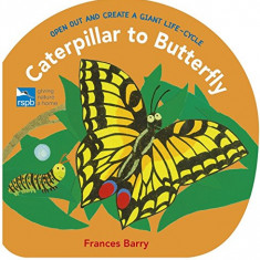 Caterpillar to Butterfly - Open Out and Create a Giant Life-Cycle | Frances Barry
