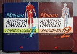 Anatomia omulii Victor Papilian - editia a XII a