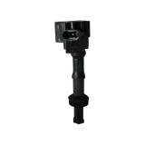 Bobina Inductie 503255 DK117954