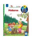 Pădurea - Hardcover - Angela Weinhold - Casa