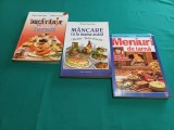 LOT 3 CĂRȚI BUCĂTĂRIE MARIA CRISTEA ȘOIMU *MENIURI DE IARNĂ, BUCATARIA IERNII*45