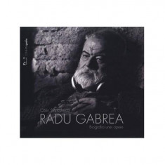 Radu Gabrea. Biografia unei opere - Paperback brosat - Călin Stănculescu - Noi Media Print