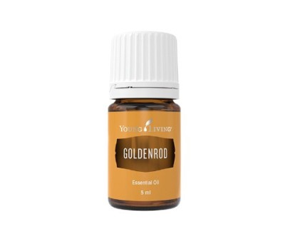 Goldenrod 5ml foto