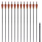 Săgeți standard arc recurv 30&quot; 0,76 cm carbon 12 buc.