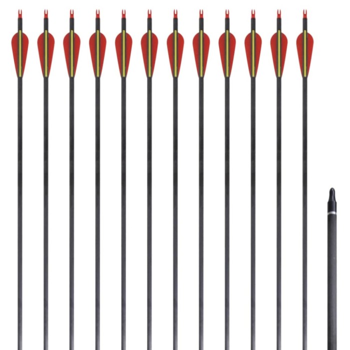 Săgeți standard arc recurv 30&quot; 0,76 cm carbon 12 buc.
