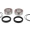 Set rulmenti roata spate Yamaha YFZ 06- 13, YFM 700 Raptor 07- 17 Prox 23.S116018