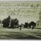 BOCSA ROMANA , STRADA PRINCIPALA , IN DREAPTA BISERICA ORTODOXA , CARTE POSTALA ILUSTRATA , PERIOADA INTERBELICA