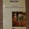 Recherches autour d&#039;une philosophie de l&#039;image/ Ciprian Valcan