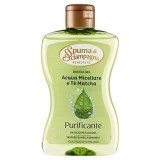 Gel de dus Spuma di Sciampagna Micellar Water &amp;amp; Matcha Tea, 300 ml, cu apa micelara si extract de Matcha, pentru toate tipurile de piele
