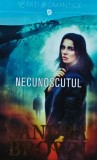 Necunoscutul - Sandra Brown - Litera, 2015, 390 pagini, brosata - Carte romantica