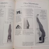 YOGA.CALEA IYENGAR.GHID ILUSTRAT( IN LB. ENGLEZA)- SILVA, MIRA&amp;SHYAM MEHTA1997S2