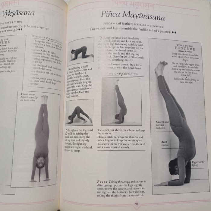 YOGA.CALEA IYENGAR.GHID ILUSTRAT( IN LB. ENGLEZA)- SILVA, MIRA&amp;SHYAM MEHTA1997S2