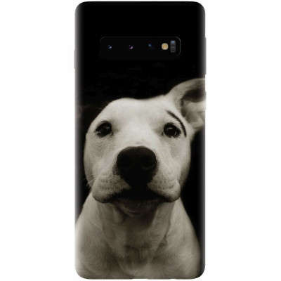 Husa silicon pentru Samsung Galaxy S10 Plus, Funny Dog foto