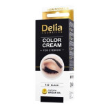 Vopsea pentru Sprancene cu Ulei de Argan Delia Cosmetics, nuanta 1.0 Negru, 15ml