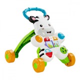 Premergator cu activitati, Fisher Price, Zebra, DLD80