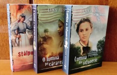 Lynn Austin - SERIA Focul topitorului (3 volume)