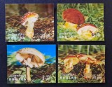 Ciuperci - Bhutan - Lot 4 Timbre Nedintelate 3D Stereoscopice CP1_I