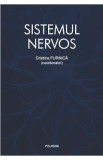 Sistemul nervos - Cristina Furnica