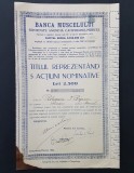 Actiune 1942 banca Muscelului , titlu 5 actiuni nominative , Campulung Muscel