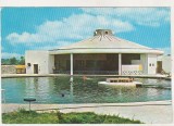 bnk cp Jupiter - Piscina-bar Paradis - circulata - marca fixa