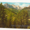 FA17 - Carte Postala- ITALIA - Dolomiti, circulata 1991