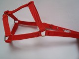 Capastru echitatie 2.5 cm/ponei