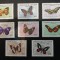 SALVADOR,Fauna,fluturi,MNH/**
