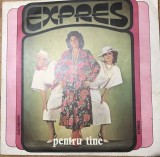 Vinil 6 Vinyl Electrecord - Expres