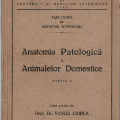 Anatomia Patologica a Animalelor Domestice II - Facult. de Medicina Veterinara