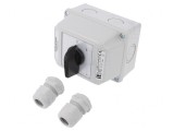 Comutator cu Came 16A 2 Posiții IP65 pentru Perete