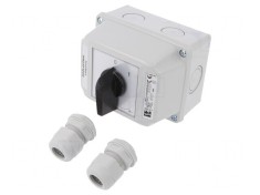 Comutator cu Came 16A 2 Posiții IP65 pentru Perete