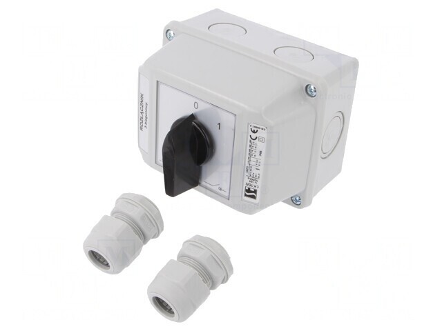 Comutator cu Came 16A 2 Posiții IP65 pentru Perete