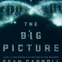 The Big Picture: On the Origins of Life, Meaning, and the Universe Itself