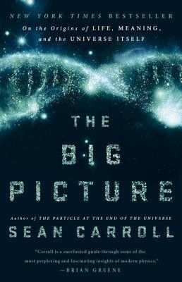 The Big Picture: On the Origins of Life, Meaning, and the Universe Itself foto