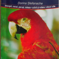Pasari de colivie – Dorina Stefanache