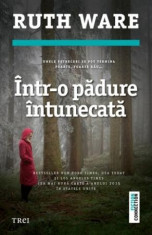 Intr-o padure intunecata foto