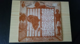 [Vinil] Africa Iron Gate Showcase - album pe vinil