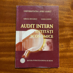 Boulescu, Gadau - AUDIT INTERN Entitati Economice (Ca noua!)