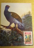 C12 - maxima Romania - tematica pasari 7 - prima zi a emisiunii sau expozitii, Romania de la 1950, Fauna