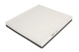 Filtru polen SRL S11-2008