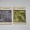 Clasicismul - Matei Calinescu - 2 vol.