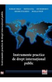 Instrumente practice de drept international public - Florian Coman, Cristian Jura, Ion Necsulescu, Grigore Stolojescu, Nicolae Purda