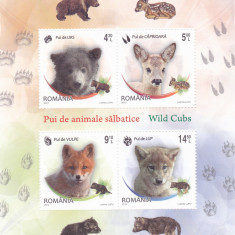 PUI DE ANIMALE SALBATICE,BLOC,2012,Lp.1960a, MNH ** ROMANIA.