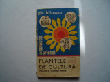 Plantele de cultura. Hrana si materii prime - Gh. Bilteanu, 1979, Albatros