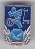 INSIGNA SOIMII PATRIEI RSR Insigna pentru activitati sportive Aluminiu vopsit