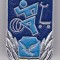 INSIGNA SOIMII PATRIEI RSR Insigna pentru activitati sportive Aluminiu vopsit