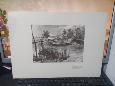 Hrandt Avachian, Planșă Delta, Tei, parfumați timizi și vechi..., Buc. 1976 224 foto